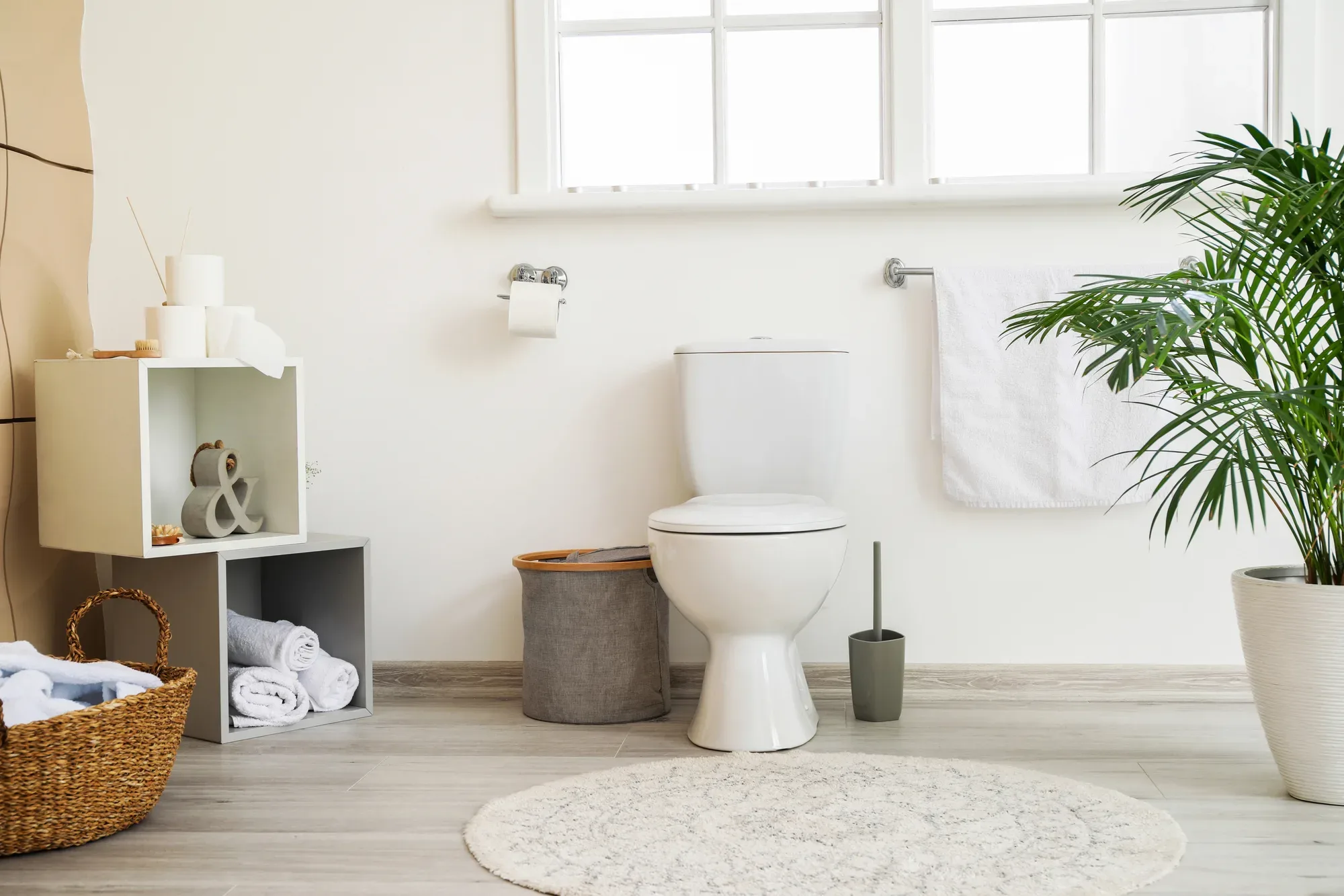 Modern powder room with pedestal basin and indoor plant